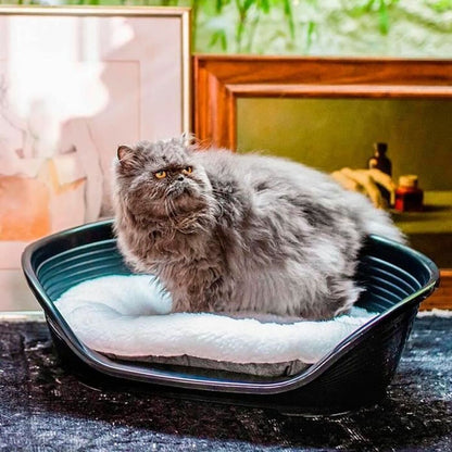 V1H51E17A6F85B29751EDED41C572289353RP6