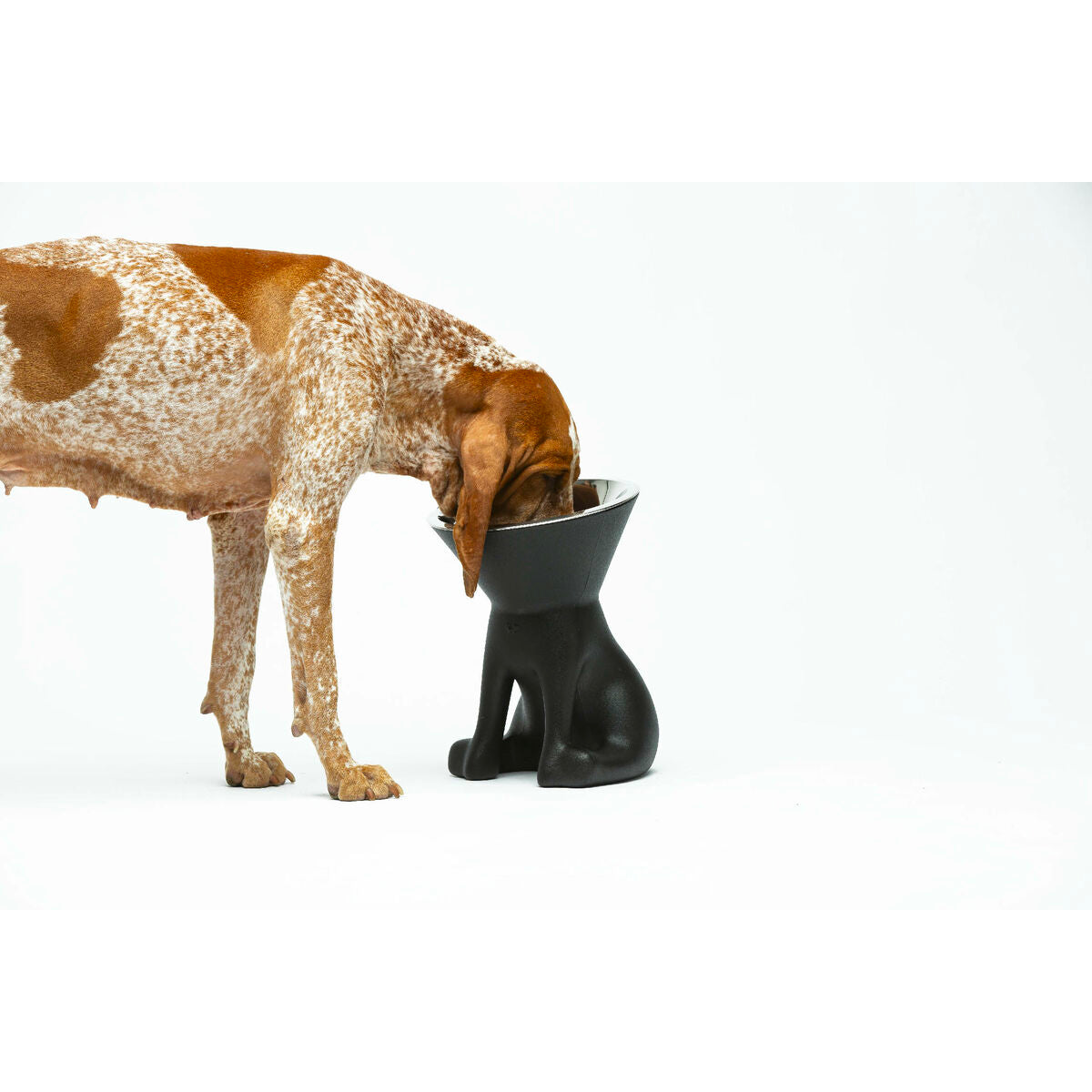 V1H0A533970AC12CFA87AB8DCE275979A35RP5