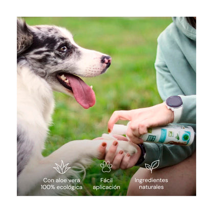 V2H696674114F5DEC0BB48B8D03AE3B073DR5717542P2