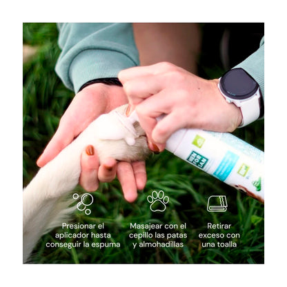 V2HAF8FEEC543E582961FDA8E0D4B5CDB21R5717545P3