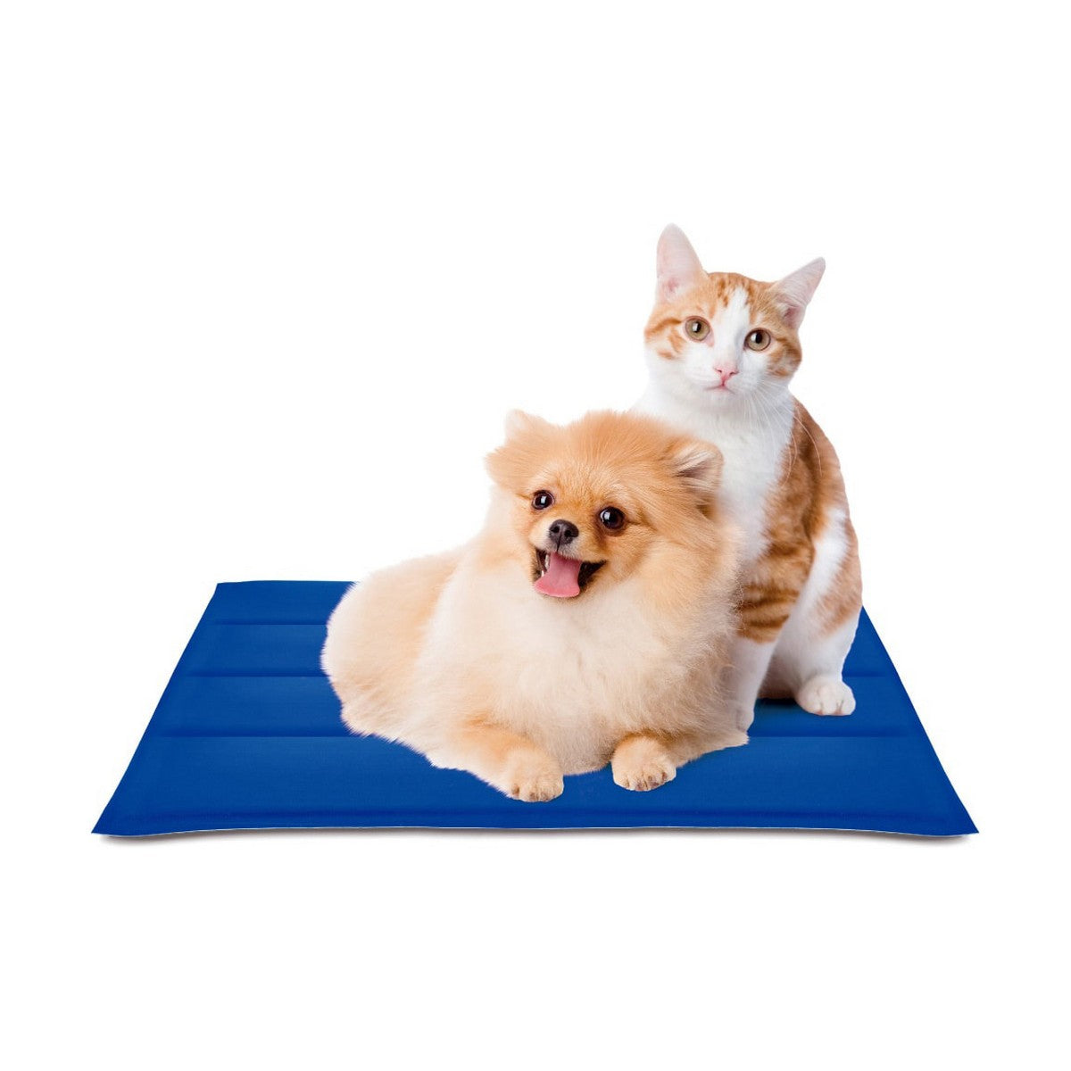 Dog Carpet Nayeco Cool mat Blue Cooling gel (50 x 40 cm) - Hilman kauppa