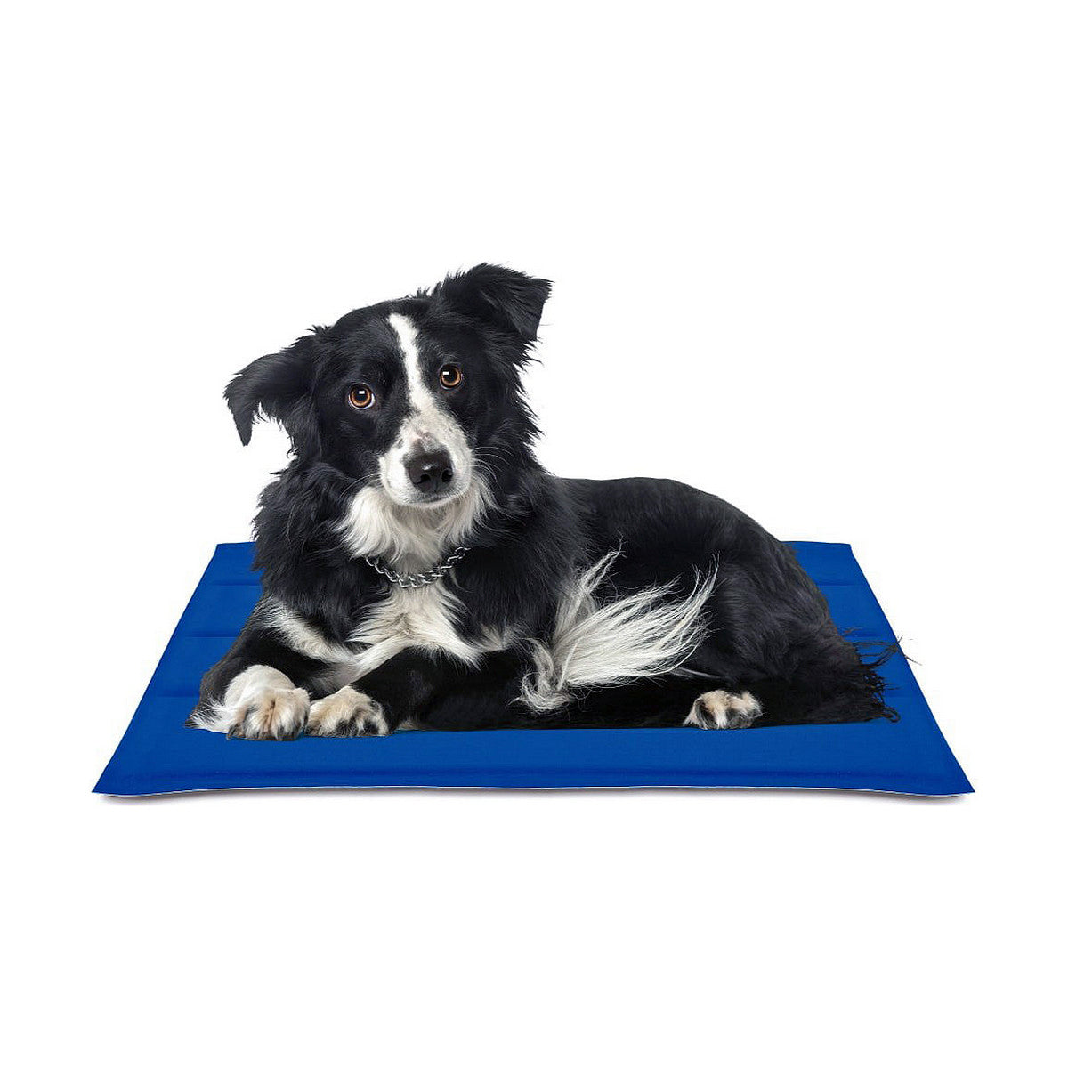 Dog Carpet Nayeco Blue Cooling gel (50 x 90 cm) - Hilman kauppa