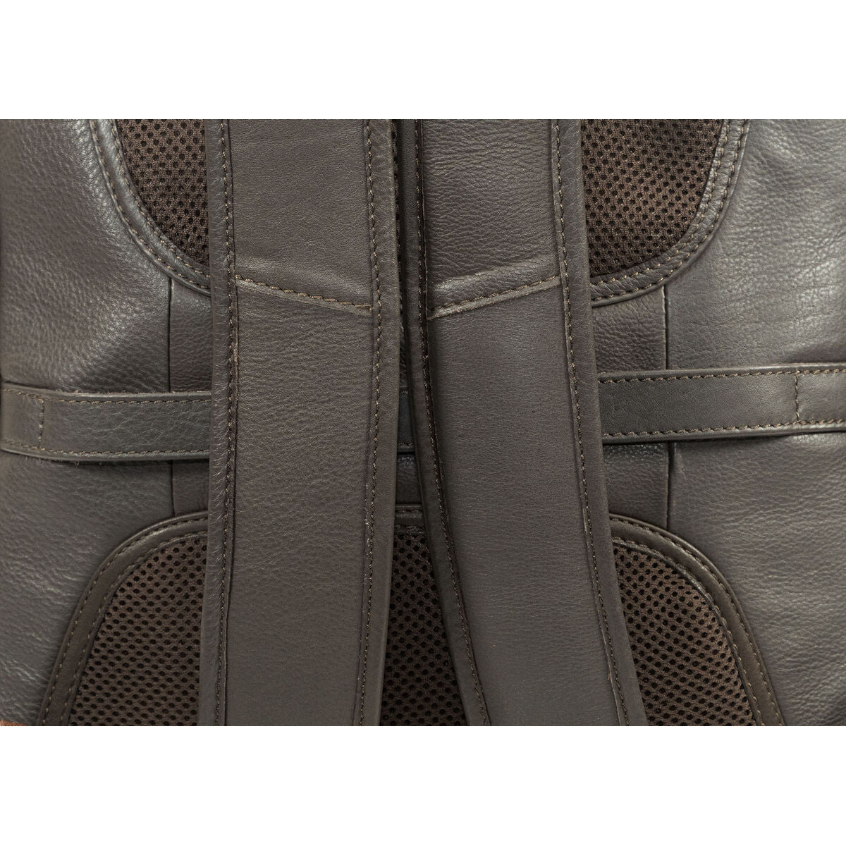 V1H55EF825D7951DAC53B6B598C20A36411RP7