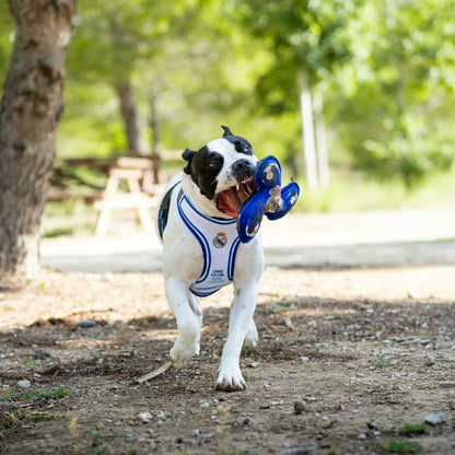 V2H4F45453E35495E783DDAD62643881888R7021663P3