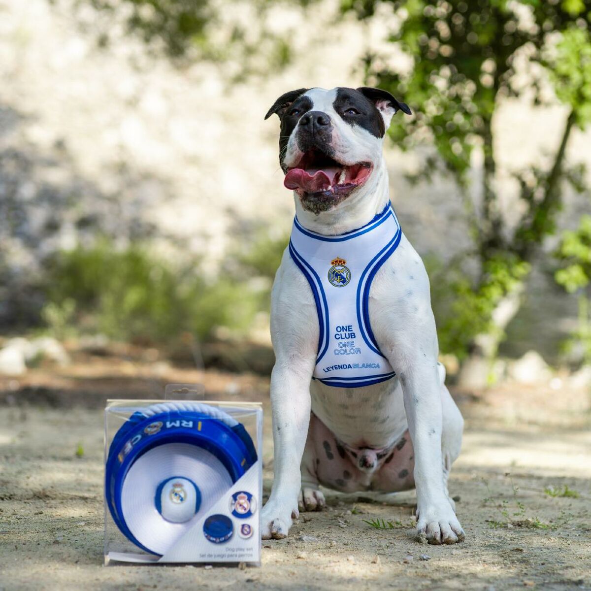 V2H5EDCF48F3F301FB2EB9980508E932706R6453385P3