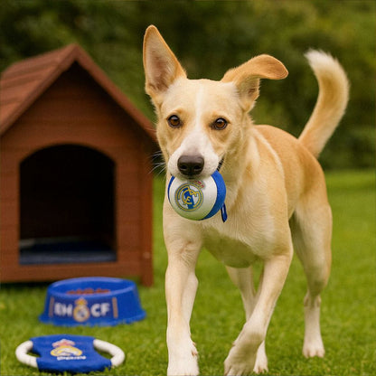 V2H9DBE3A6DDC4A5C016161BBF9EC5A708FR6453390P8