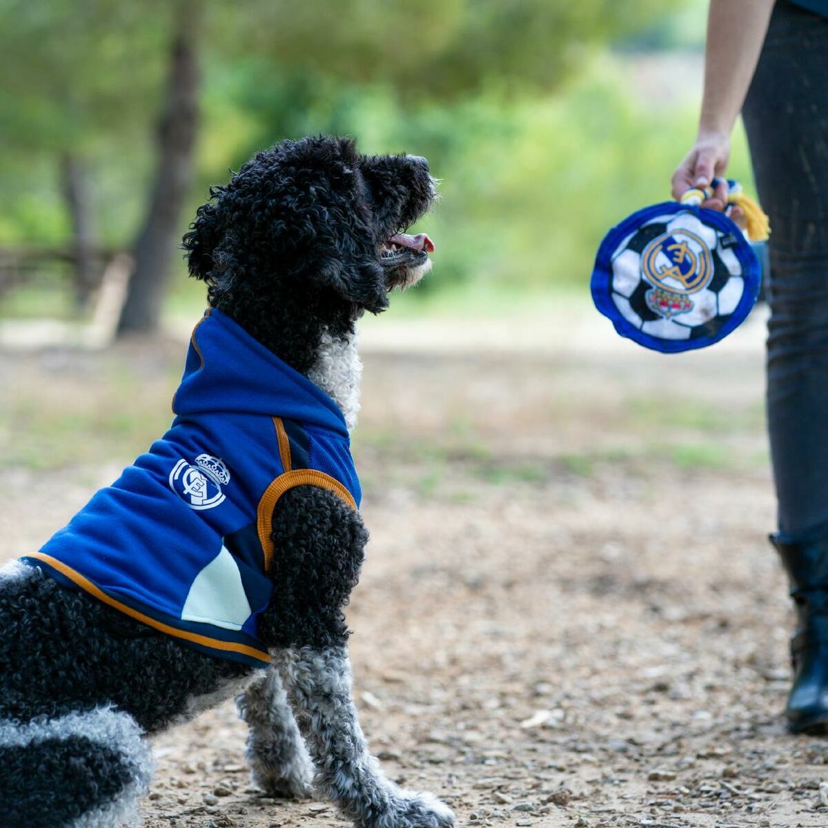 V2HA45F2CEC383FA8269A69E57B65A5E839R7069195P4