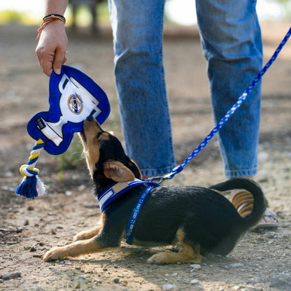 V2H136C3448022FC05CD232CA85886BF8AER6939430P5