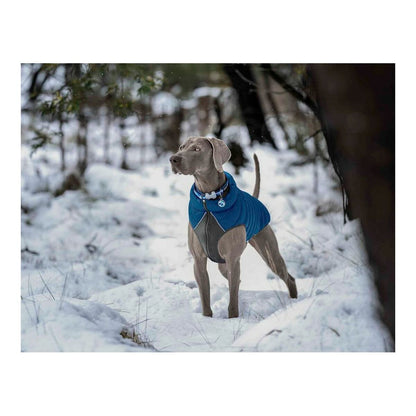 Dog Coat Red Dingo Puffer Turquoise 35 cm - Hilman kauppa