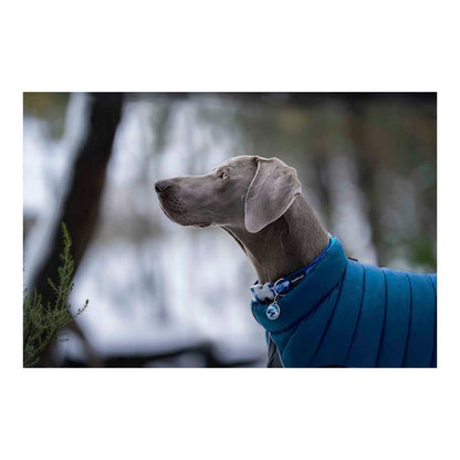 Dog Coat Red Dingo Puffer Turquoise 35 cm - Hilman kauppa