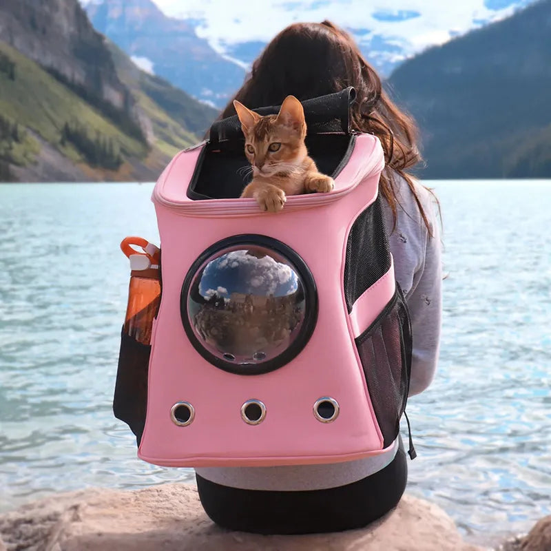 Cat bubble backpack on sale