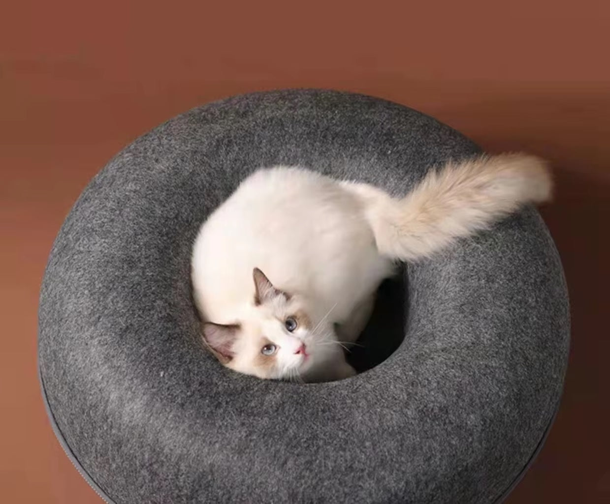 Cat tunnel donut paras kissa tunneli donitsi hilman kauppa