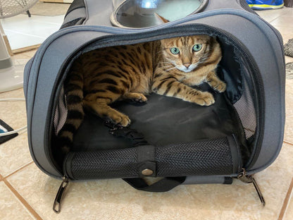 Pet Carrier Bubble Backpack