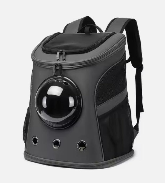 Kissareppu harmaa, viallinen kupu