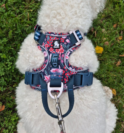 Premium Koiran Y-valjaat TRUELOVE TLH5656