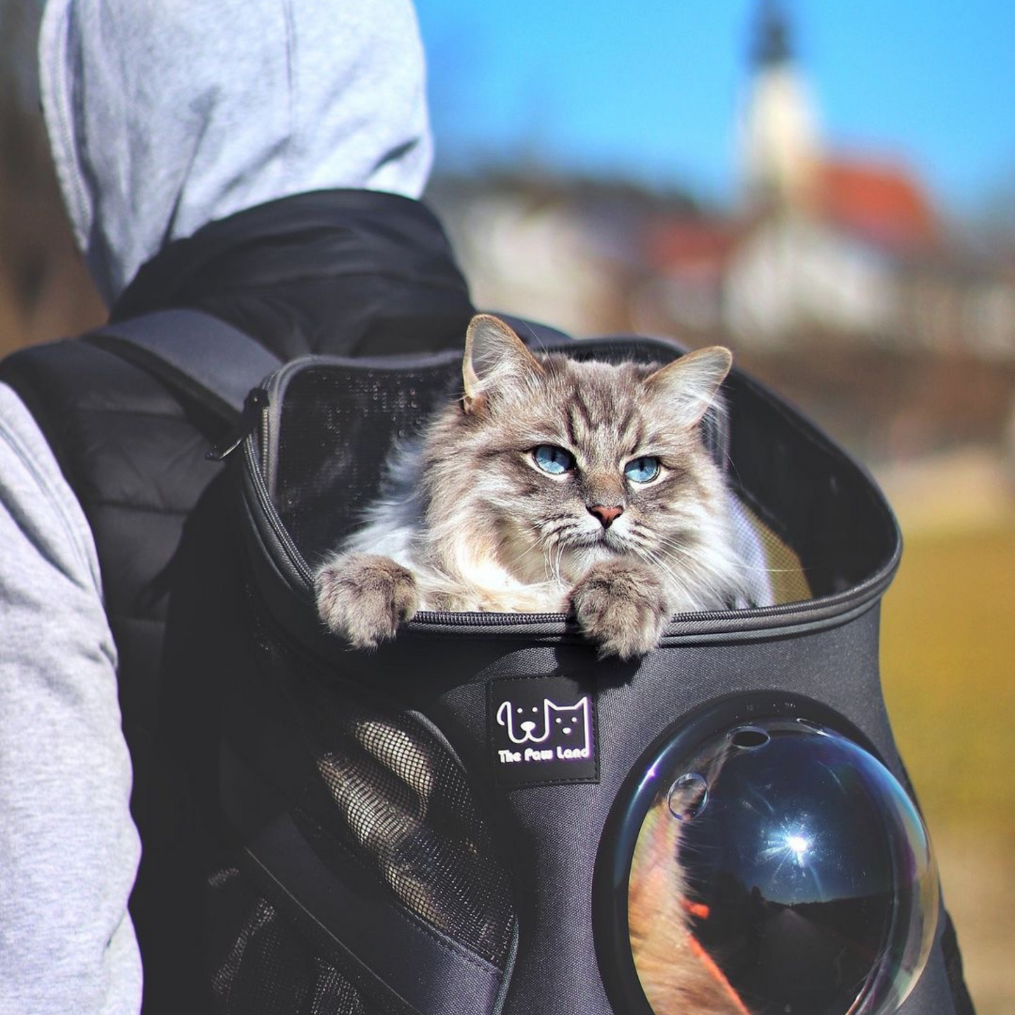 Kissan kuljetusreppu, kissan kantoreppu Pet Carrier Pet Bubble The Paw Land