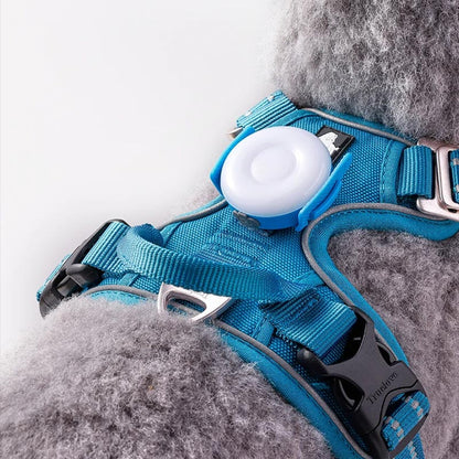 TRUELOVE TLD19103 Lemmikin Led-valo valjaisiin tai pantaan