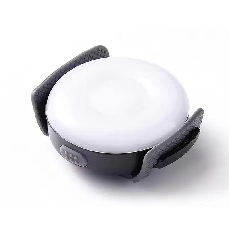 TRUELOVE TLD19103 Lemmikin Led-valo valjaisiin tai pantaan