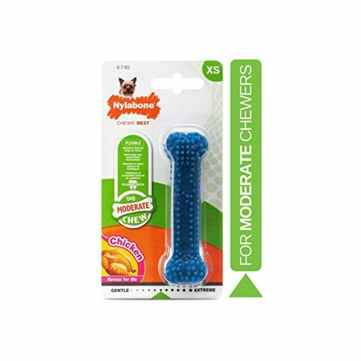 Dog toy Nylabone Small Blue Natural Chicken Thermoplastic XS size - Hilman kauppa