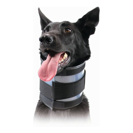 Cervical Collar for Dogs KVP Black (6-28 cm) - Hilman kauppa