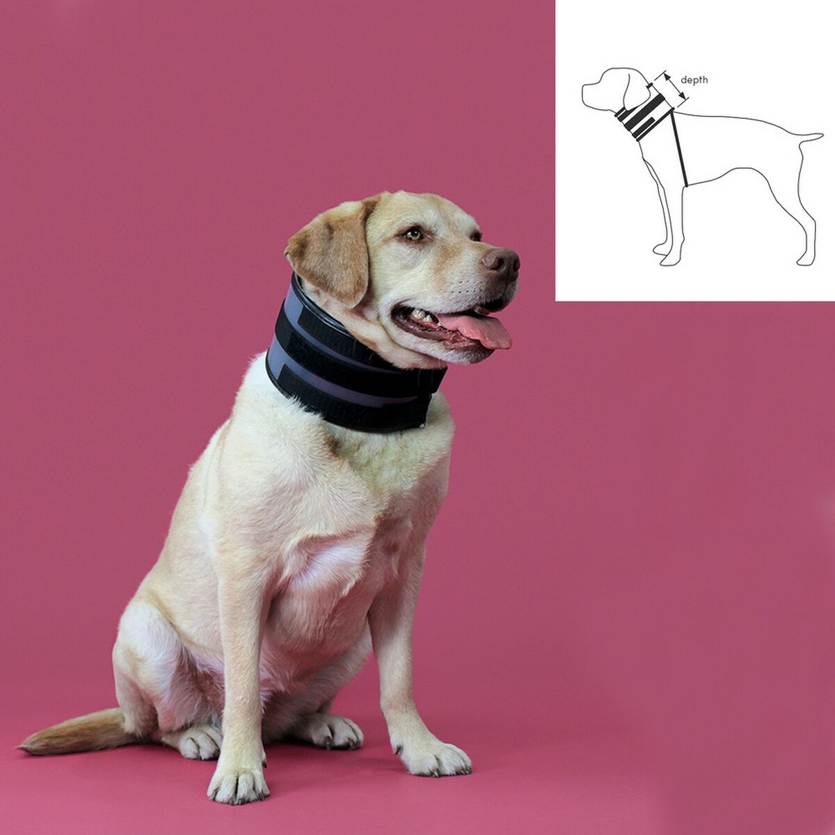 Cervical Collar for Dogs KVP Black (9-36 cm) - Hilman kauppa