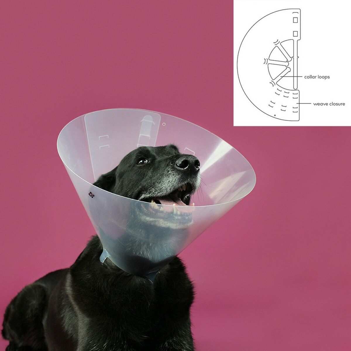 Elizabethan Dog Collar KVP Betsy Transparent (63-78 cm) - Hilman kauppa