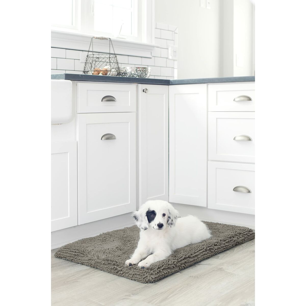 Dog Bed Dog Gone Smart 48 x 61 cm Grey - Hilman kauppa