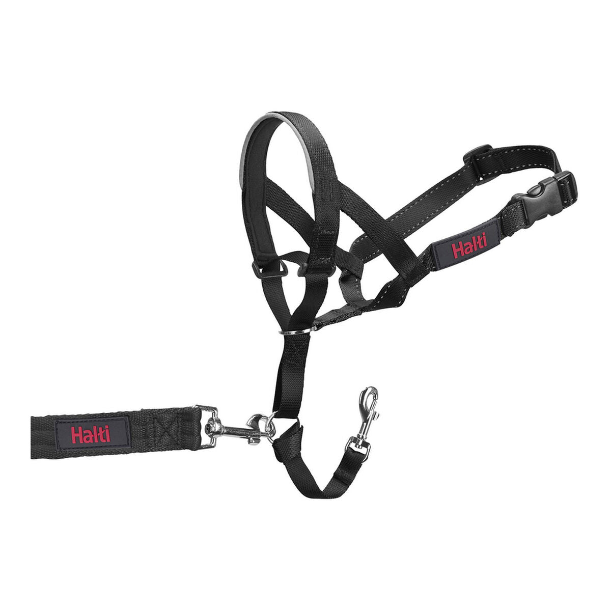 Dog Training Collars Company of Animals Halti Black Muzzle (46-62 cm) - Hilman kauppa