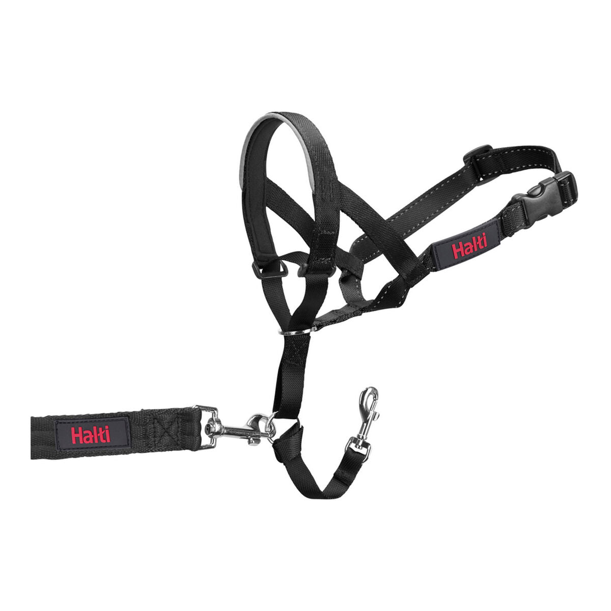 Dog Training Collars Company of Animals Halti Black Muzzle (46-62 cm) - Hilman kauppa