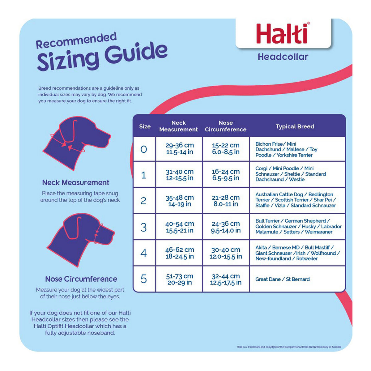 Dog Training Collars Company of Animals Halti Black Muzzle (46-62 cm) - Hilman kauppa