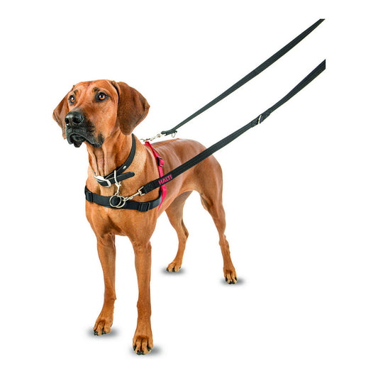 Dog Harness Company of Animals Halti Black/Red L (80-120 cm) - Hilman kauppa