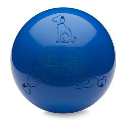 Dog toy Company of Animals Boomer Blue (200mm) - Hilman kauppa