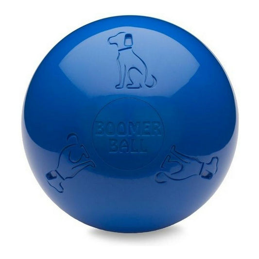 Dog toy Company of Animals Boomer Blue (250mm) - Hilman kauppa
