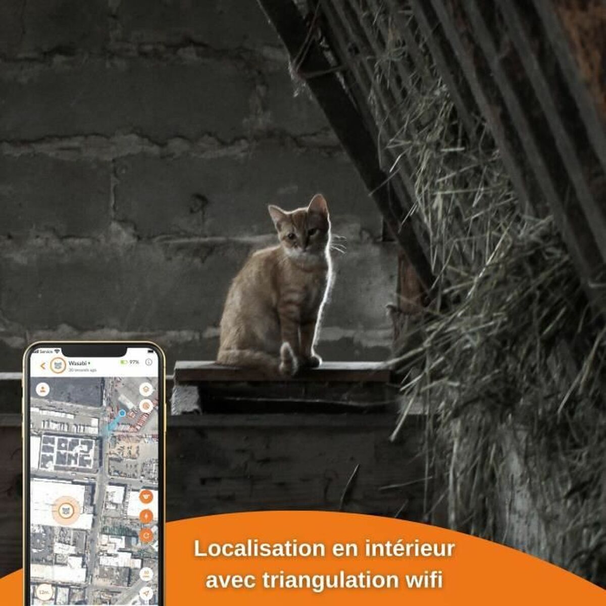 Anti-loss Localiser Weenect Weenect XS GPS Cat White - Hilman kauppa