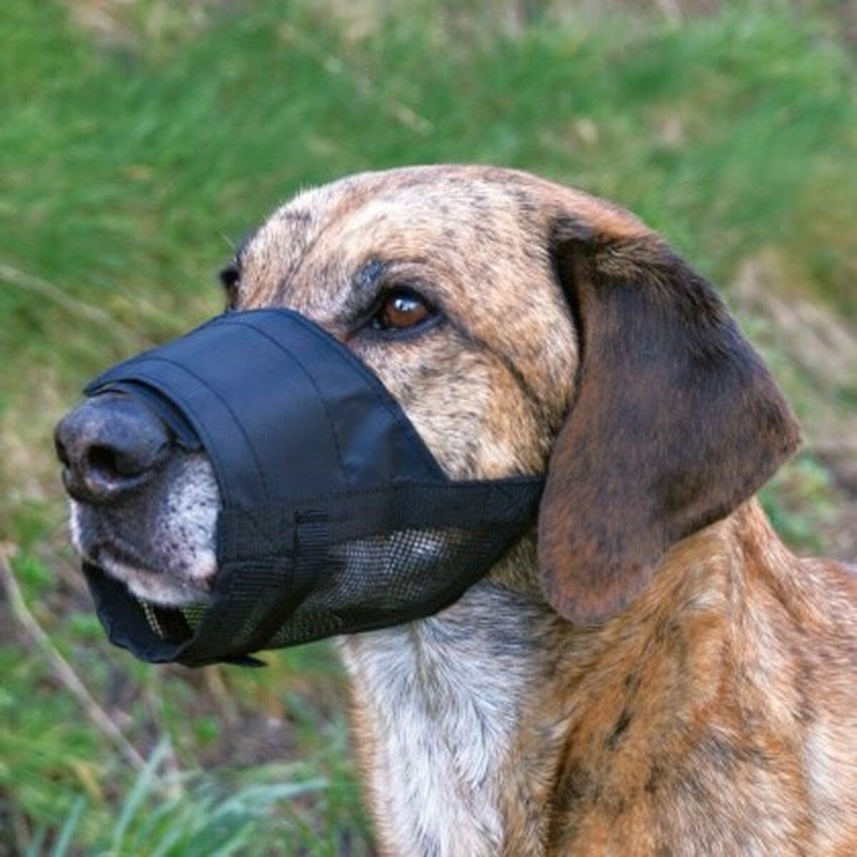 Muzzle Trixie   Black S - Hilman kauppa