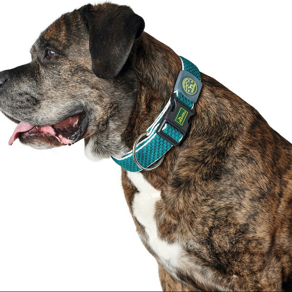 Dog collar Hunter Plus Thread Turquoise 11 - Hilman kauppa