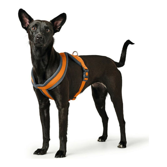 Dog Harness Hunter London Comfort 39-47 cm Orange XS/S - Hilman kauppa