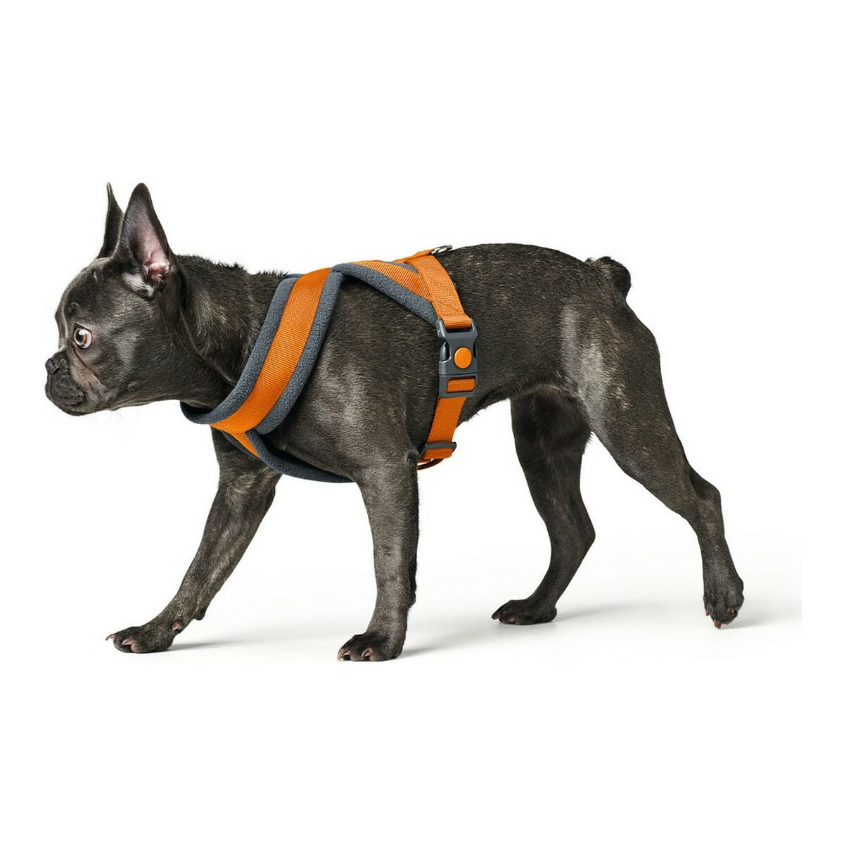 Dog Harness Hunter London Comfort 48-56 cm Orange Size S/M - Hilman kauppa