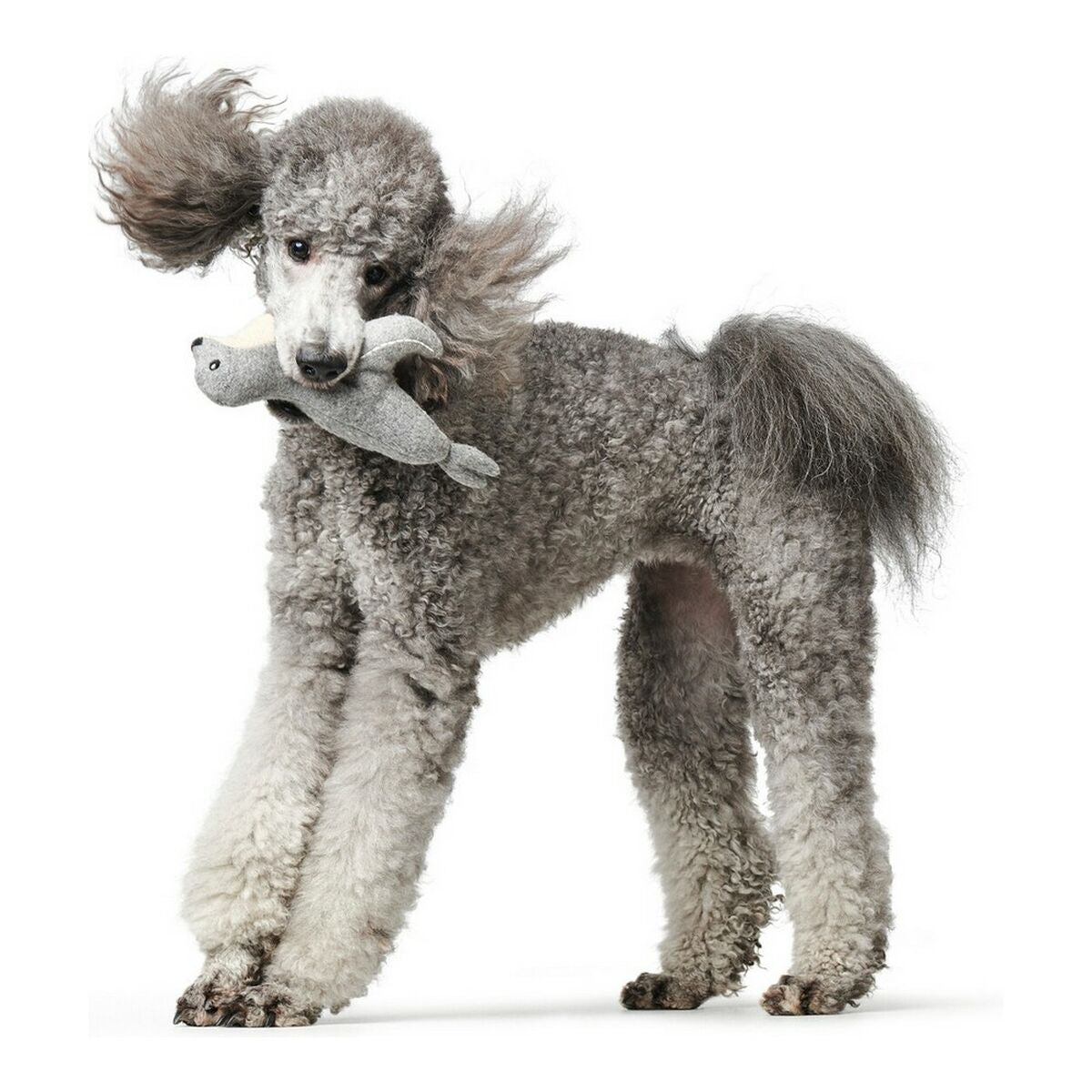 Dog toy Hunter Skagen Grey Seal - Hilman kauppa
