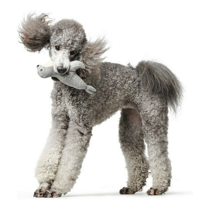 Dog toy Hunter Skagen Grey Seal - Hilman kauppa