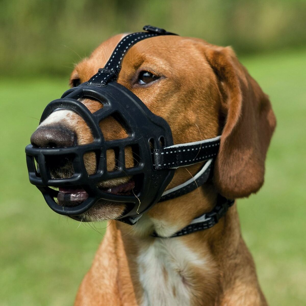 Muzzle Trixie Flex Black Monochrome S 20 cm - Hilman kauppa