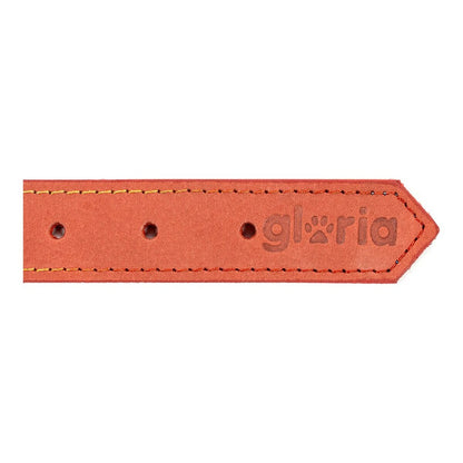Dog collar Gloria Oasis Red (65 x 3 cm) - Hilman kauppa