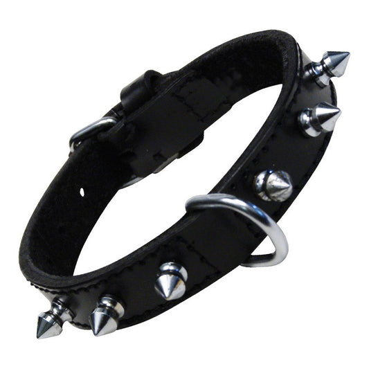 Dog collar Gloria Black Spikes (50 cm) - Hilman kauppa