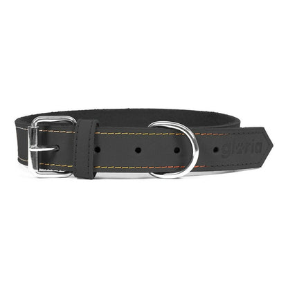 Dog collar Gloria Oasis Black (50 x 2,1 cm) - Hilman kauppa