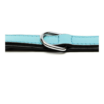 Dog collar Gloria Padded Blue (35 x 1,5 cm) - Hilman kauppa