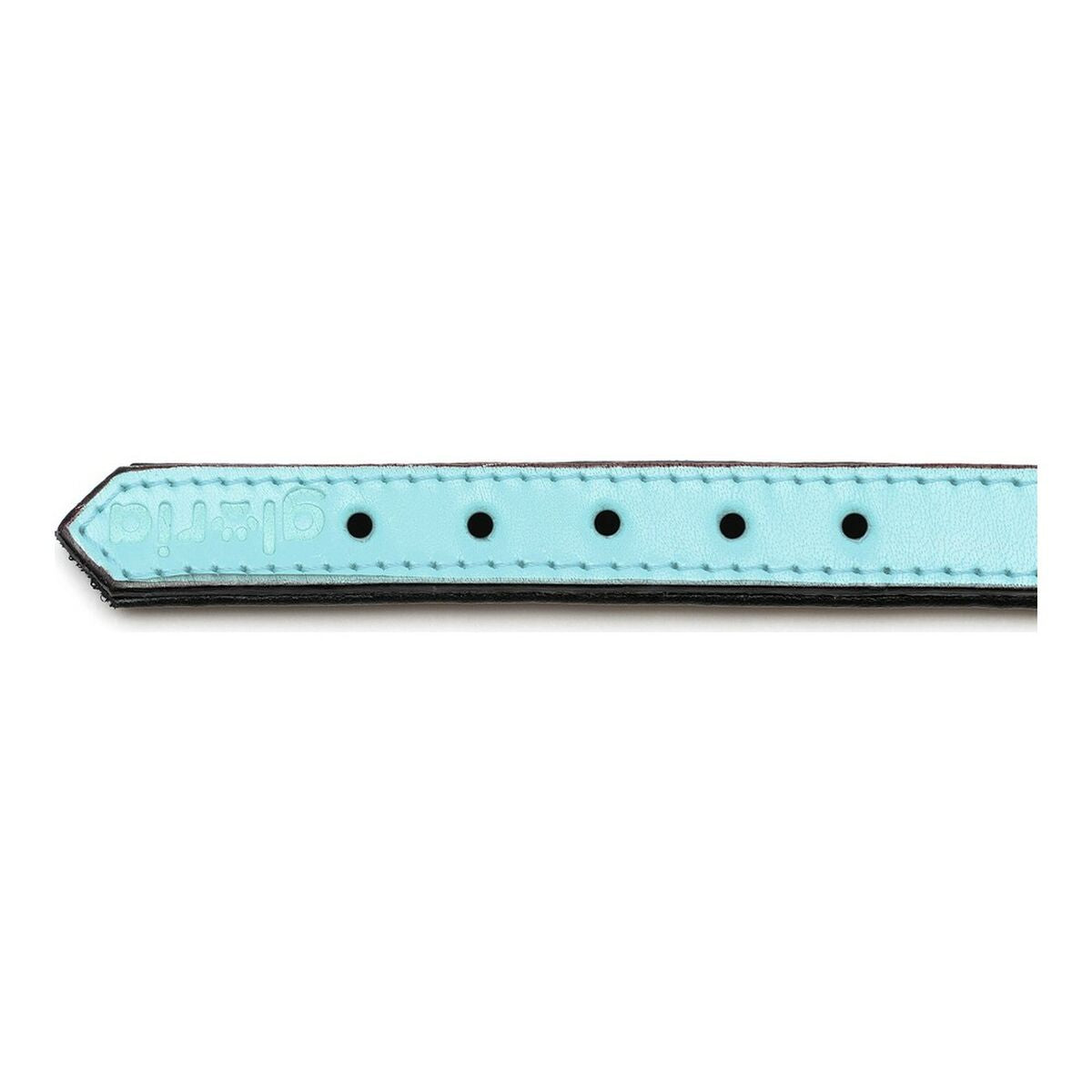 Dog collar Gloria Padded Blue (35 x 1,5 cm) - Hilman kauppa