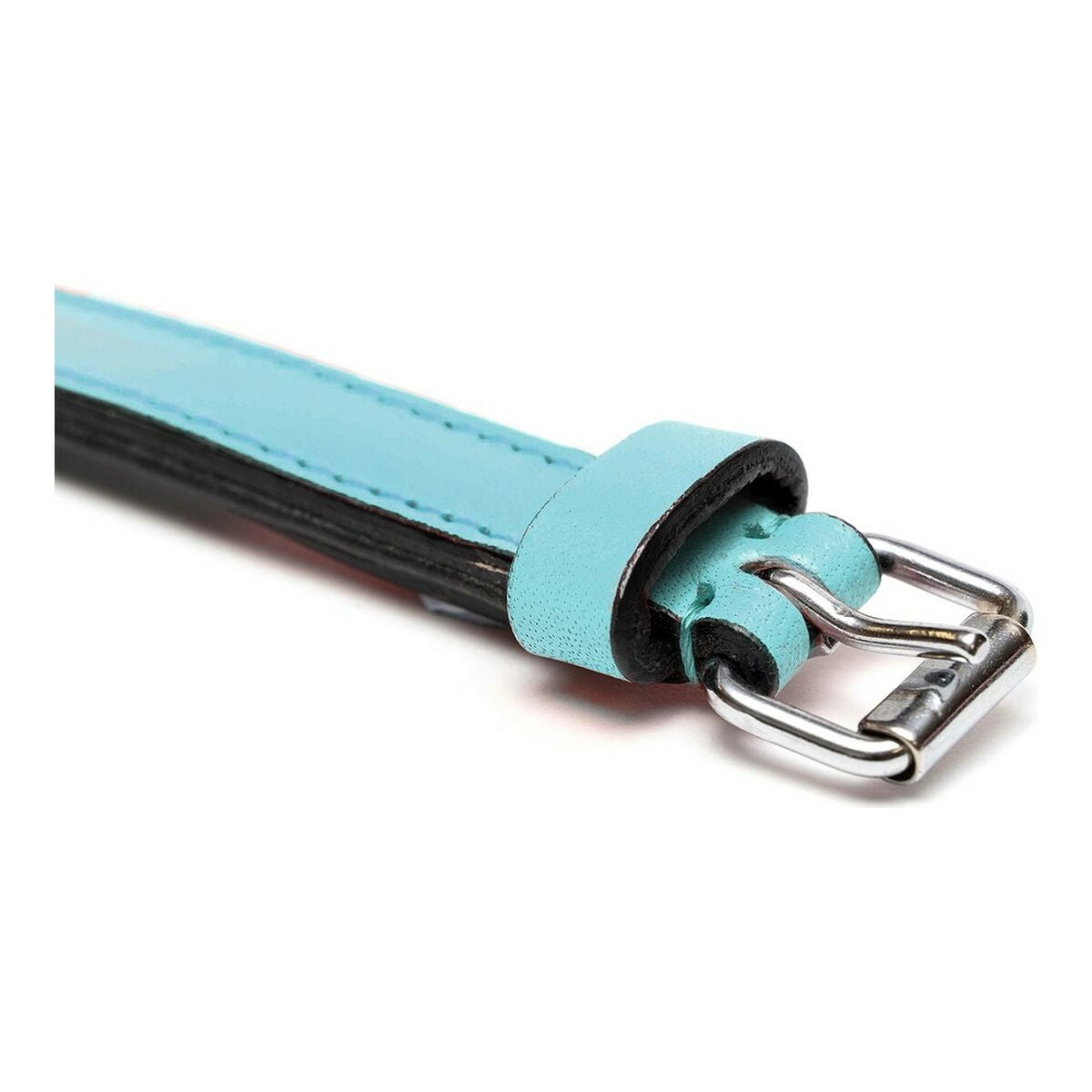 Dog collar Gloria Padded Blue (35 x 1,5 cm) - Hilman kauppa