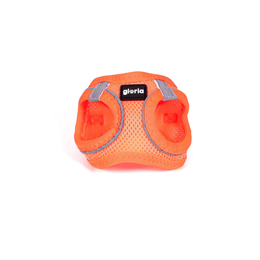 Dog Harness Gloria Trek Star 24-26 cm 28-28,6 cm Orange XXS - Hilman kauppa