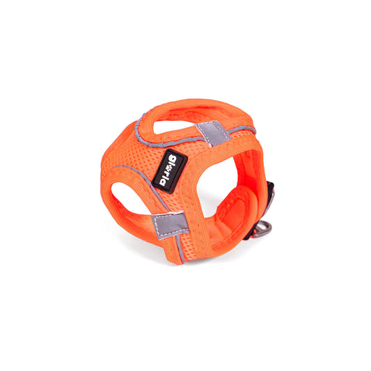 Dog Harness Gloria Trek Star 29,4-32,6 cm 41,4-43 cm Orange S - Hilman kauppa