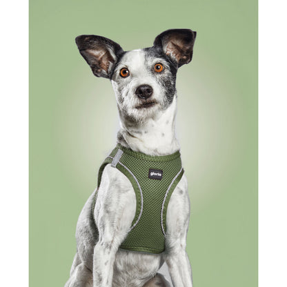 Dog Harness Gloria 28-28,6 cm Green XXS 24-26 cm - Hilman kauppa